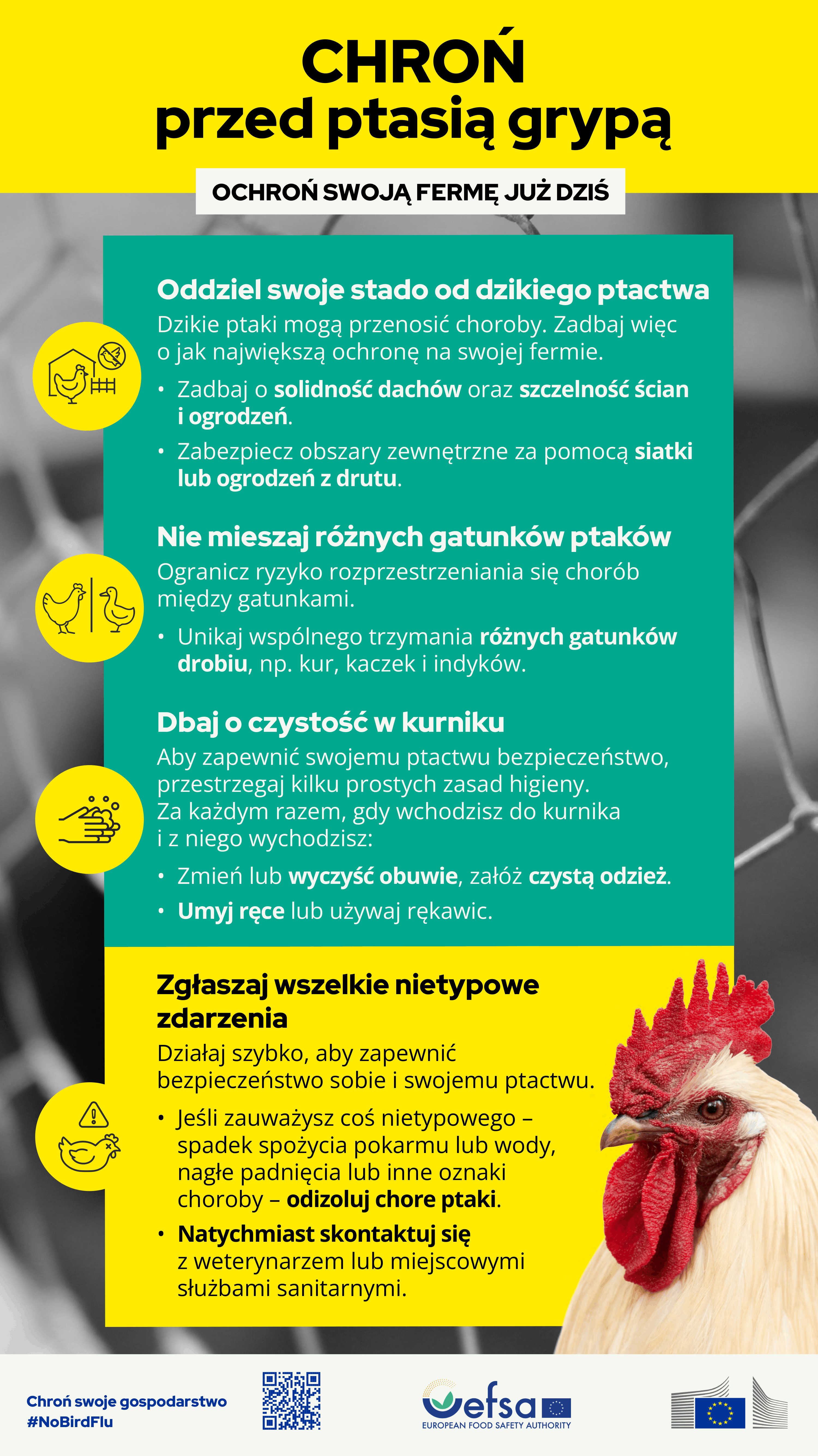 HPAI_Chroń-sw&oacute;j-dr&oacute;b-1