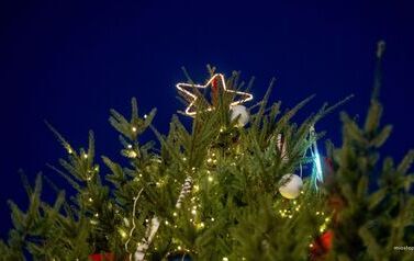 06.12 Jarmark Bożonarodzeniowy 10