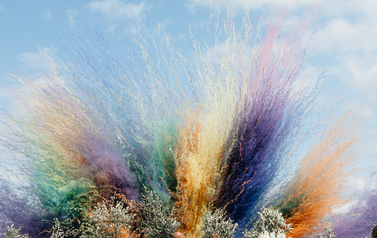 Śluby plenerowe 2025 1