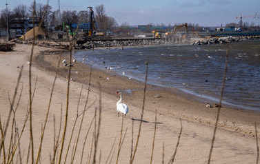 Postęp prac nad budową mariny 23