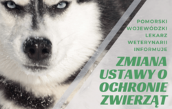 Zdjęcie do Ustawa dotycząca ochrony zwięrząt w zakresie...