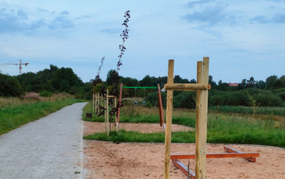 Zdjęcie do Zniszczenia drzew nasadzonych nad Łabędzim Stawem przy ul. Kolejowej