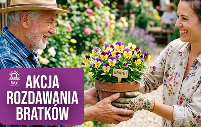 Zdjęcie do Coroczna akcja rozdawania bratk&oacute;w