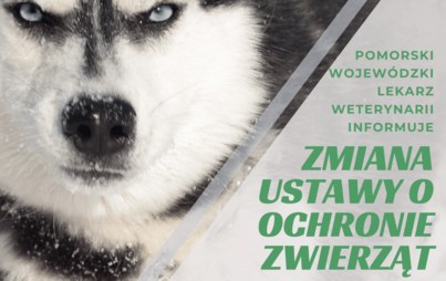 Zdjęcie do Ustawa dotycząca ochrony zwięrząt w zakresie utrzymania ps&oacute;w i kot&oacute;w - zmiany w przepisach.