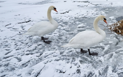 Zdjęcie artykułu z dnia 07-04-2026